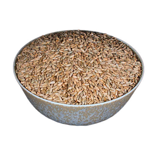 Rye Seeds