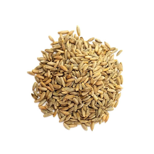 Rye Seeds