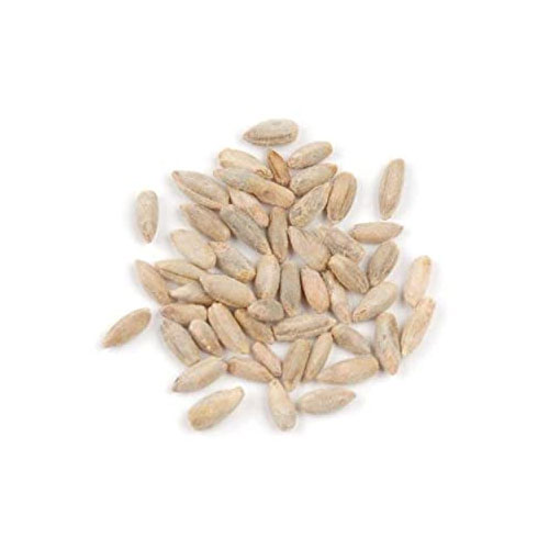 Rye Seeds