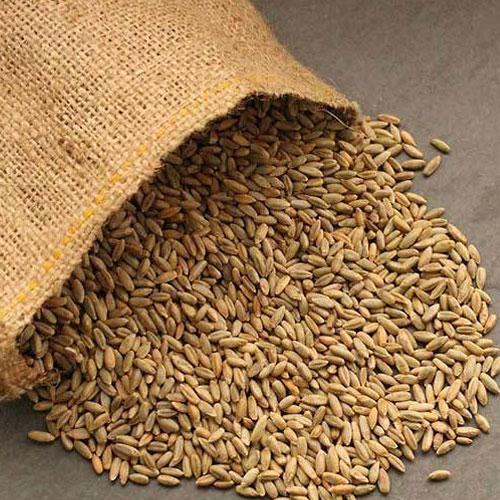 Rye Seeds