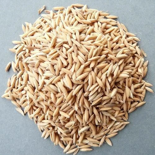 Basmati Seeds