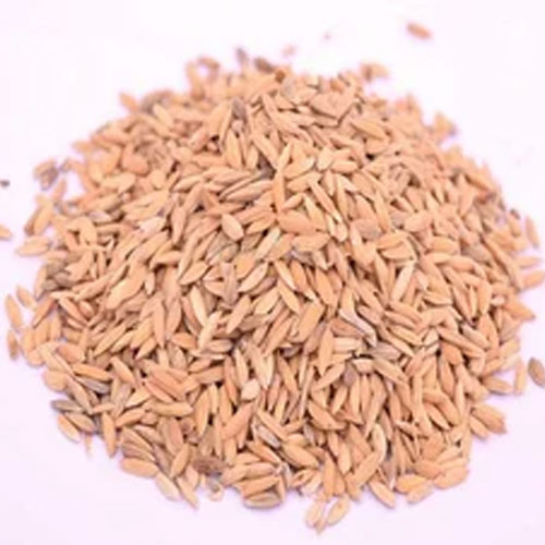 Basmati Seeds