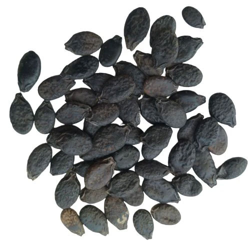Ridge Gourd Seeds