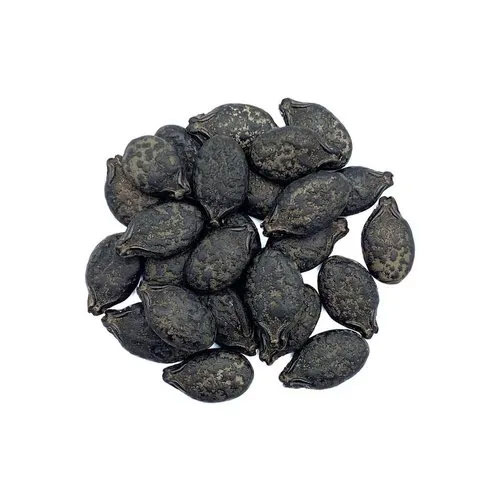 Ridge Gourd Seeds