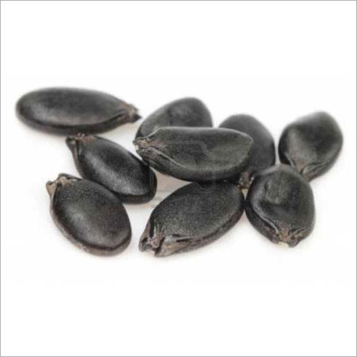Ridge Gourd Seeds