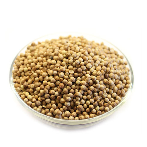 Whole Coriander Seeds
