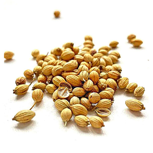 Whole Coriander Seeds