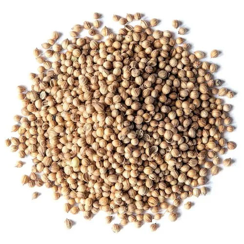 Whole Coriander Seeds