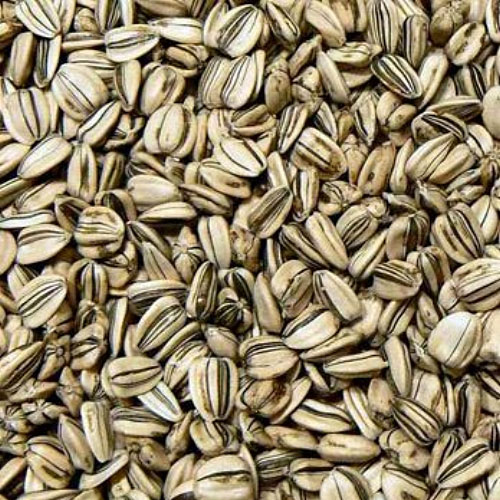 Organic Sunflower Seed