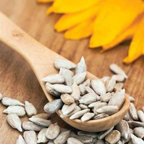 Organic Sunflower Seed