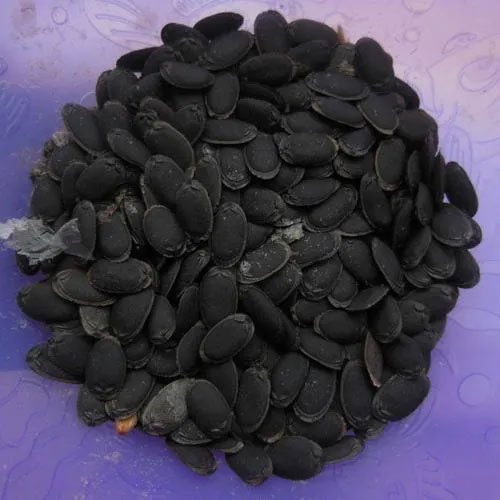 Sponge Gourd Seeds