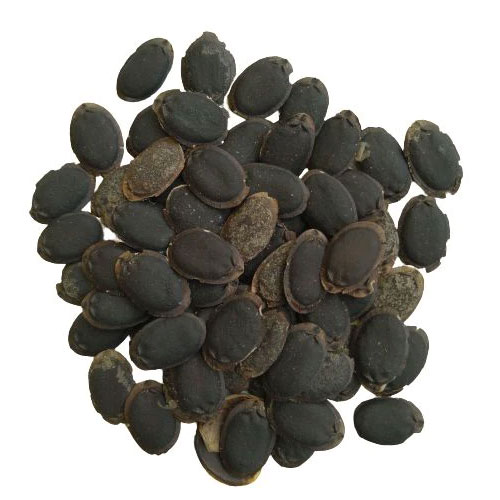 Sponge Gourd Seeds