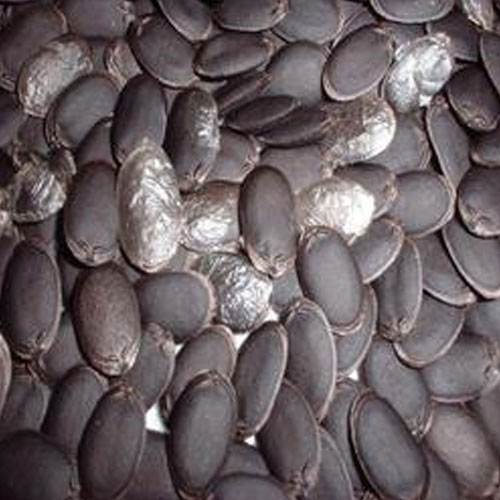 Sponge Gourd Seeds