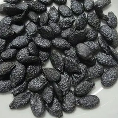 Sponge Gourd Seeds