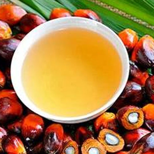Palm Oil Seed