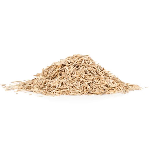 Lawn Grass Seed