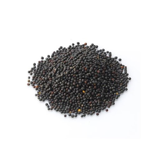 Canola Seeds