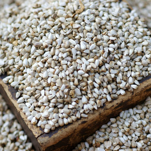 White Safflower Seeds