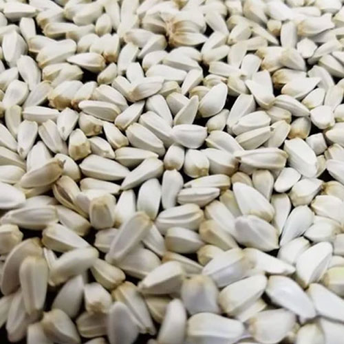 White Safflower Seeds
