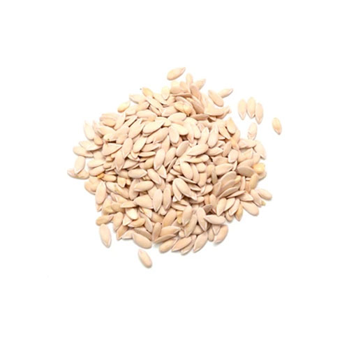 Cantaloupe Seeds