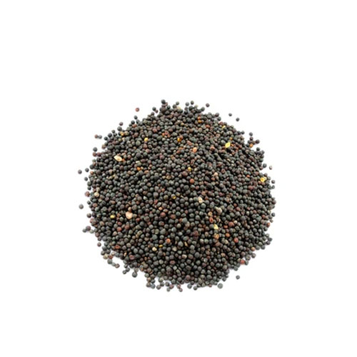 Rape Mustard Seeds