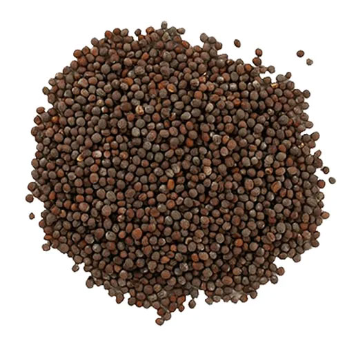 Rape Mustard Seeds