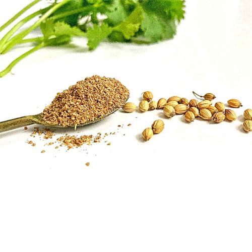Ground Coriander Seeds
