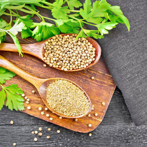 Ground Coriander Seeds