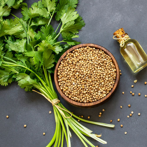 Ground Coriander Seeds