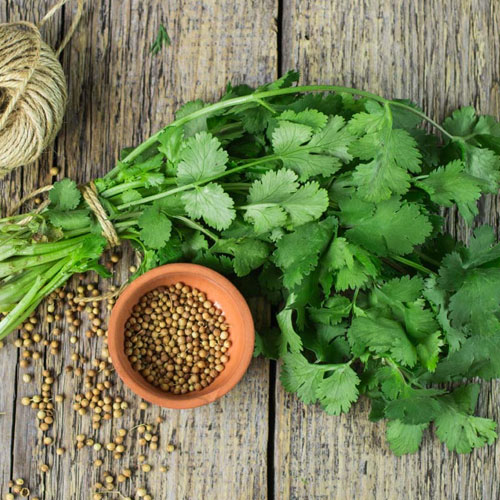 Ground Coriander Seeds