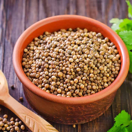 Ground Coriander Seeds