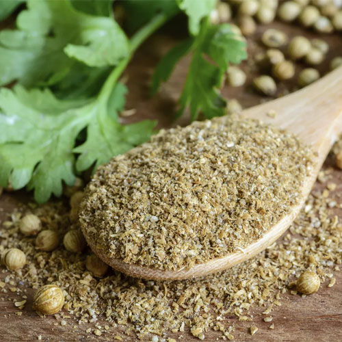 Ground Coriander Seeds