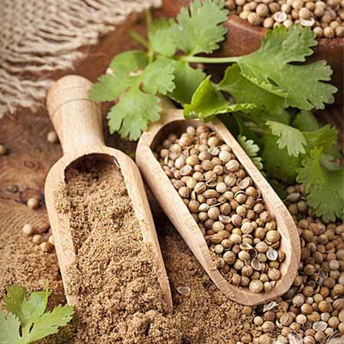 Ground Coriander Seeds