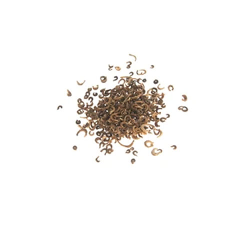 Calendula Officinalis Seeds