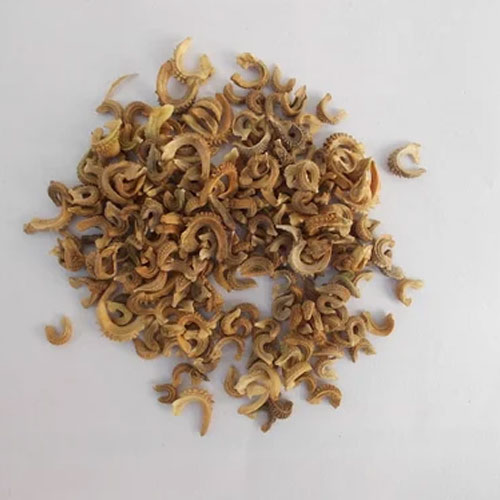 Calendula Officinalis Seeds