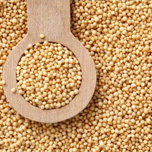 Amaranthus Caudatus Seeds