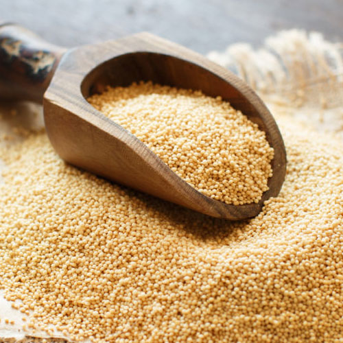 Amaranthus Caudatus Seeds