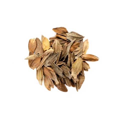 Zinnia Elegans Seeds