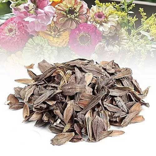 Zinnia Elegans Seeds