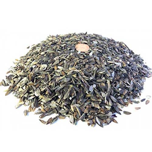 Zinnia Elegans Seeds