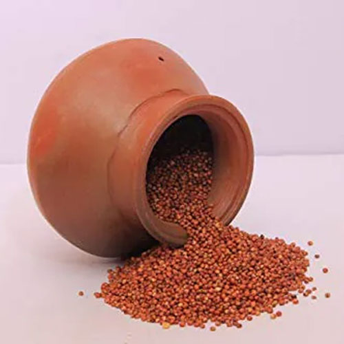 Red Sorghum Seeds