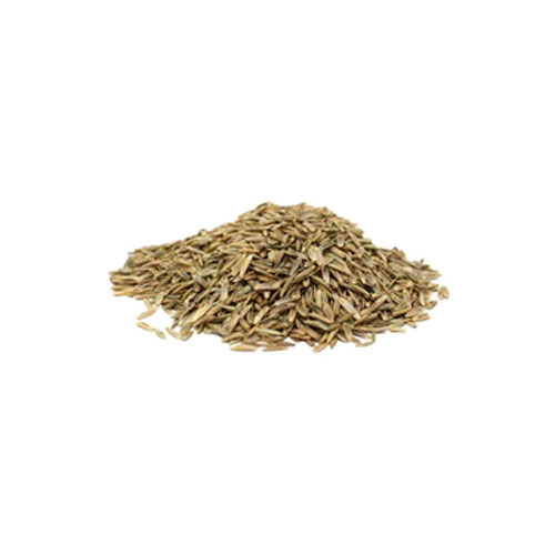 Rye Grass Seeds
