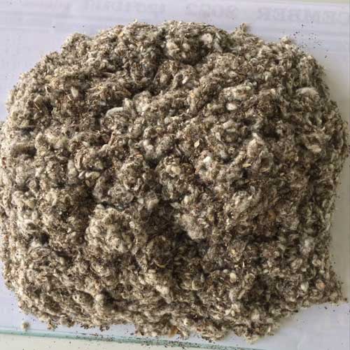 Cotton Seed Hull