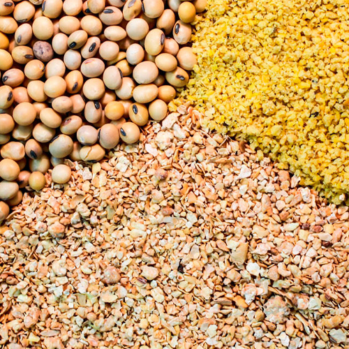 Agro Based Commodities