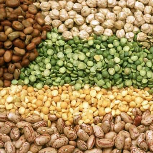 Agro Based Commodities