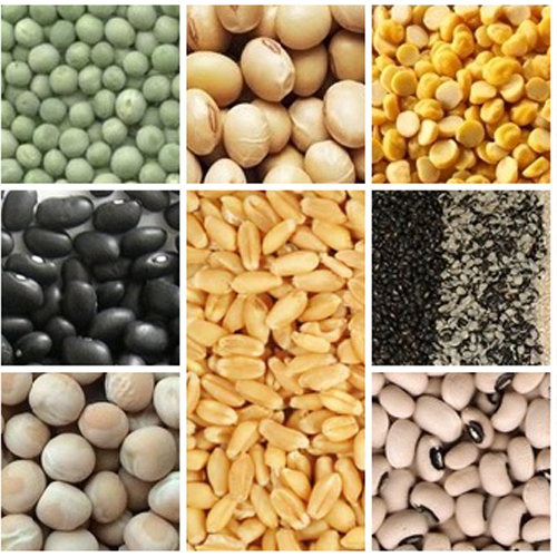 Agro Based Commodities