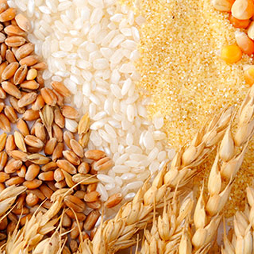 Agro Based Commodities