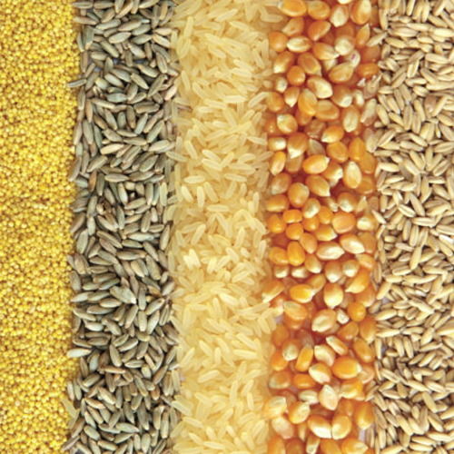 Agro Based Commodities