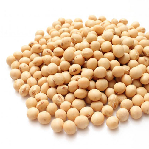 Agro Based Commodities