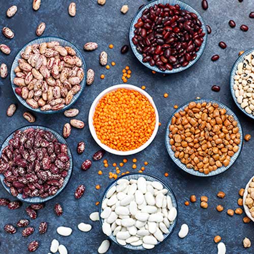 Agro Based Commodities